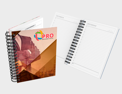 Agenda Permanente A6 2025 Capa Maleável 328 Páginas 10,6x14,9cm (Couchê 300g Laminação Fosca) - 4x0 - 4 unid